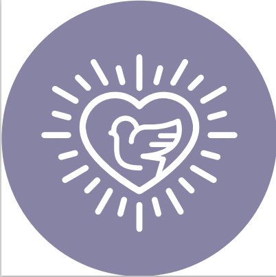 image8rsrh.png