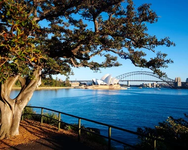 botainic gardens sydney