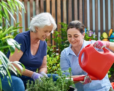 Exploring Specialised Dementia Aged Care Programs