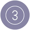 Purple (3).png
