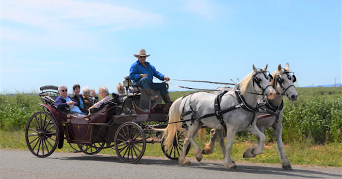 Horse Drawn Carriage Ride for Jemalong Residents