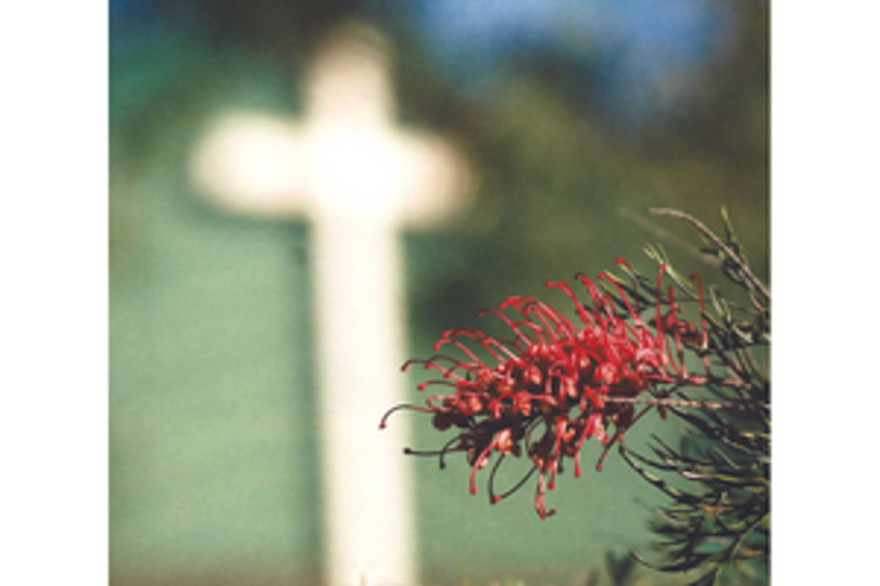 Honouring teaser.jpg