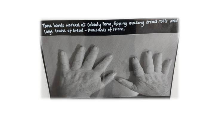 Hand 5.png