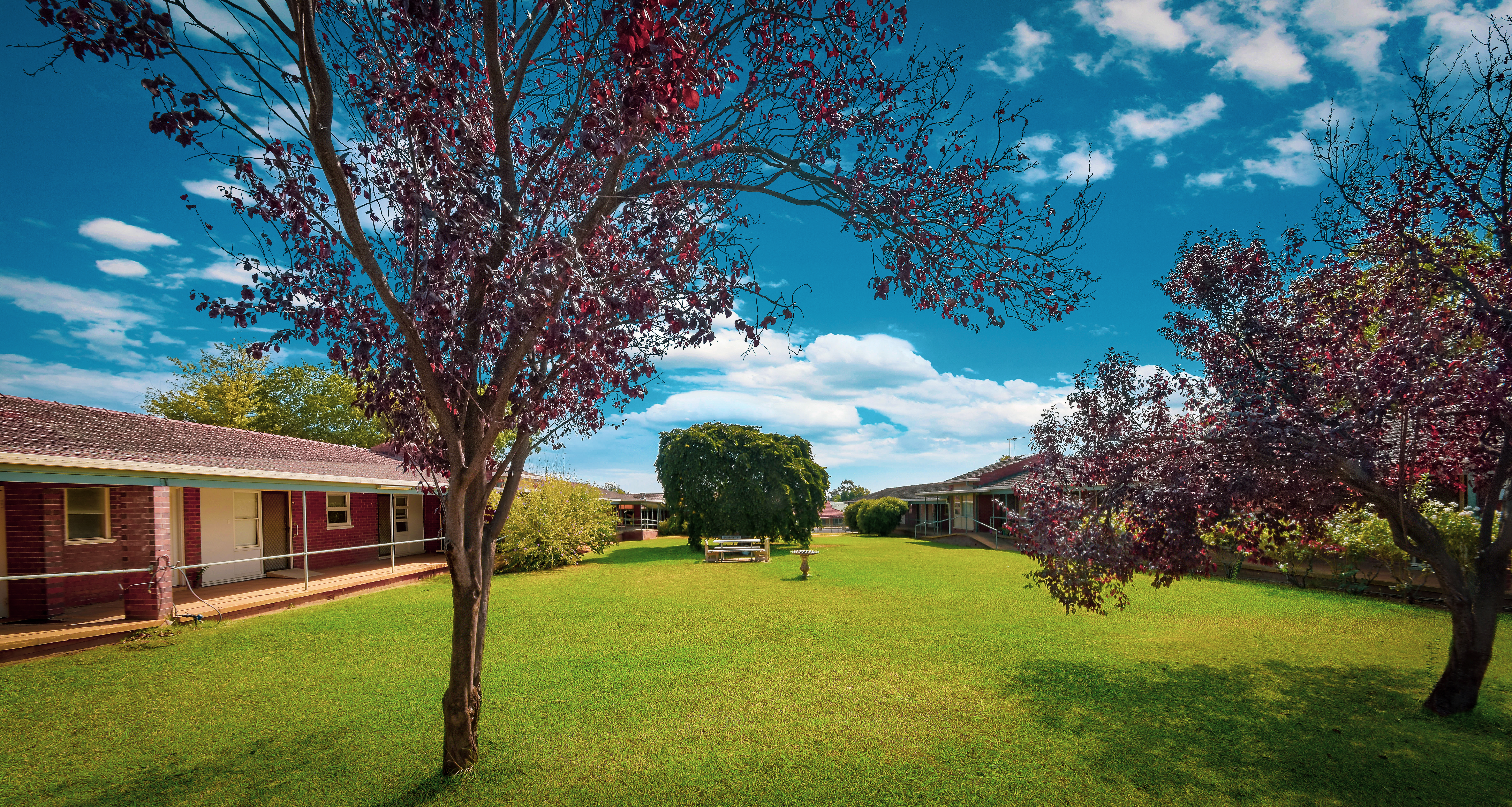 The Haven (Wagga Wagga)