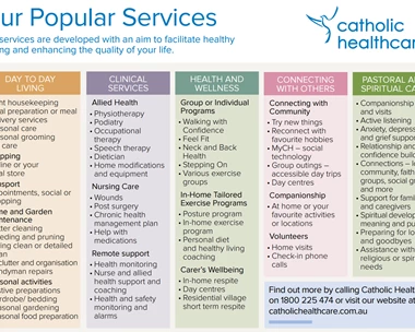 HCS Popular Services
